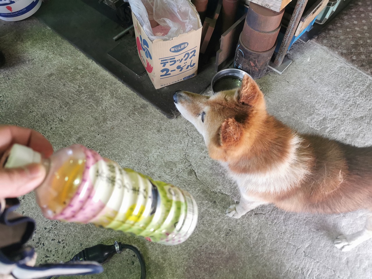 s-IMG_20200624_144108